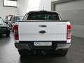 Ford Ranger Limited 4x4 Doppelkab Navi Leder R-Kam PD Beyaz - thumbnail 7