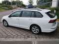 Volkswagen Golf Variant Golf Variant 1.5 tgi Life 130cv dsg (neopatentati) Blanc - thumbnail 3