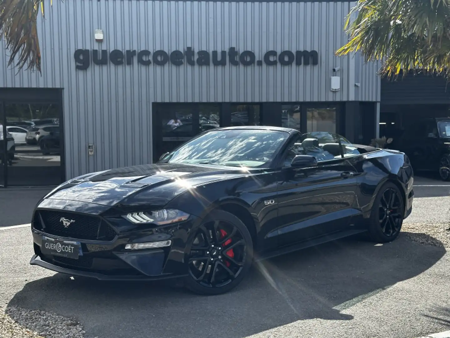 Ford Mustang 5.0 V8 450CH GT Noir - 1