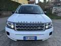 Land Rover Freelander Freelander 2.2 td4 S 4wd 150cv Fehér - thumbnail 2