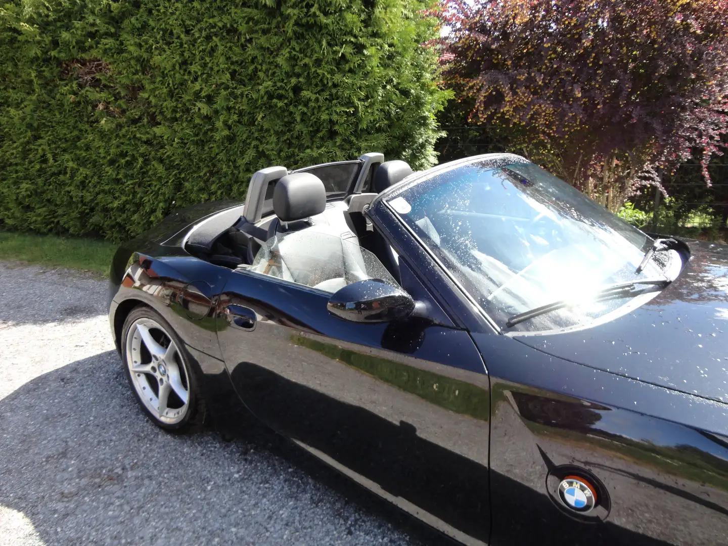 BMW Z4 Z4 2,5i Österreich-Paket Österreich-Paket Schwarz - 1
