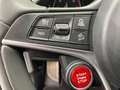 Alfa Romeo Stelvio B-Tech 2,2 ATX AWD Gris - thumbnail 21