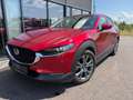 Mazda CX-30 X180 GT+/SO/PR Aut. / Anhängerkupplung Rot - thumbnail 1