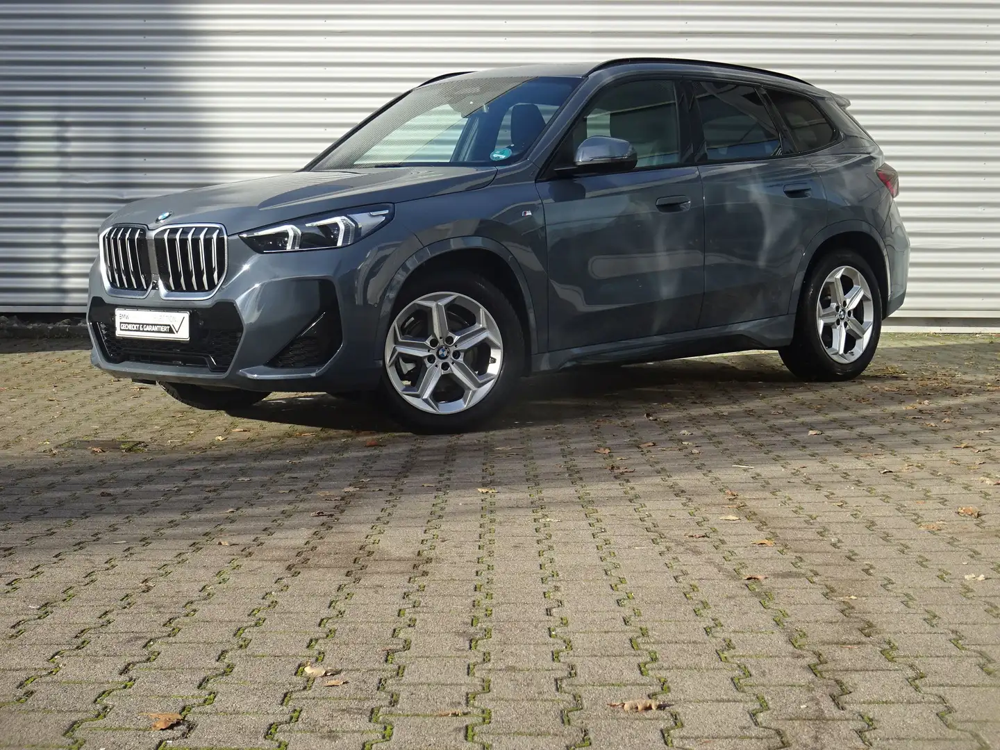 BMW X1 sDrive20i M Sport DrivAsPro Pano 360° h/k HuD - 2