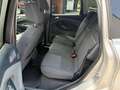Ford C-Max Champions Edition Silber - thumbnail 15