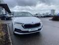 Skoda Octavia Combi 2.0 TDI DSG 4x4 Style 17"+SPORTFAH Weiß - thumbnail 6
