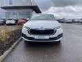 Skoda Octavia Combi 2.0 TDI DSG 4x4 Style 17"+SPORTFAH Weiß - thumbnail 7
