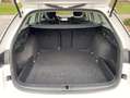 Skoda Octavia Combi 2.0 TDI DSG 4x4 Style 17"+SPORTFAH Weiß - thumbnail 12