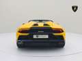Lamborghini Huracán Evo Spyder GIALLO INTI I LIFT I SENSONUM Gelb - thumbnail 4