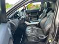 Land Rover Range Rover Evoque Dynamic  mit Pickerl Automatik Allrad Gris - thumbnail 10