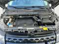 Land Rover Range Rover Evoque Dynamic  mit Pickerl Automatik Allrad Gris - thumbnail 38