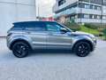Land Rover Range Rover Evoque Dynamic  mit Pickerl Automatik Allrad Gris - thumbnail 13
