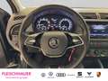 Skoda Fabia Cool Plus 1.0 MPI PDC+SHZ+Klima+Telefon Grau - thumbnail 10