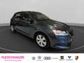 Skoda Fabia Cool Plus 1.0 MPI PDC+SHZ+Klima+Telefon Grau - thumbnail 8