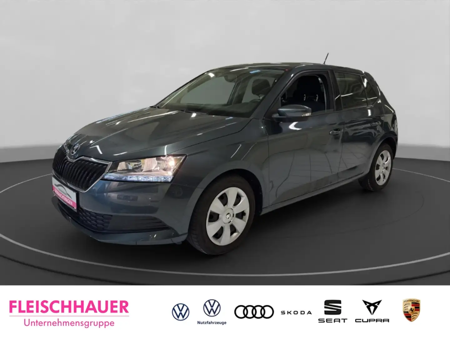 Skoda Fabia Cool Plus 1.0 MPI PDC+SHZ+Klima+Telefon Grau - 1