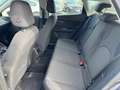 SEAT Leon 1.6 TDI "Style" Grau - thumbnail 10