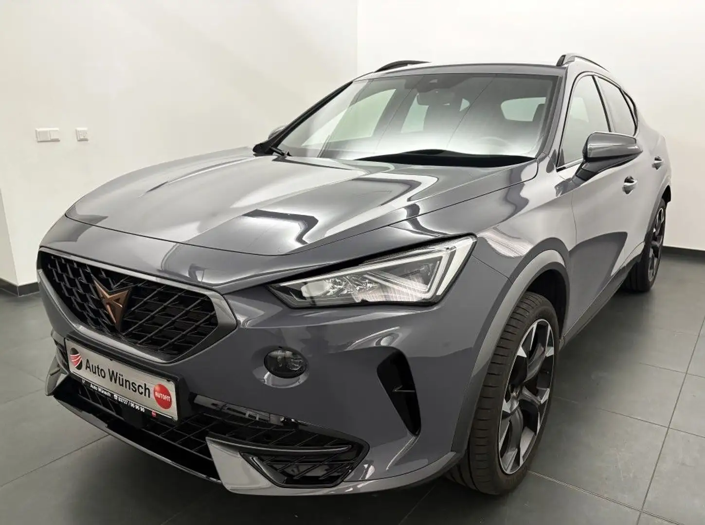 CUPRA Formentor 1.5 TSI DSG Totw.-Assist#R-Kamera#19``- LM#LR-Hzg. Grijs - 1