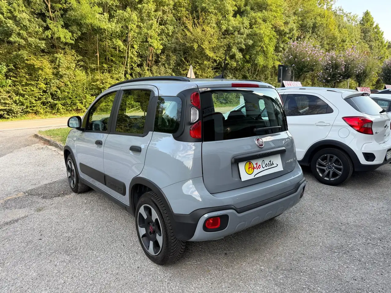 Fiat Panda III Cross 1.0 firefly hybrid Cross S&S, миниатюра 5