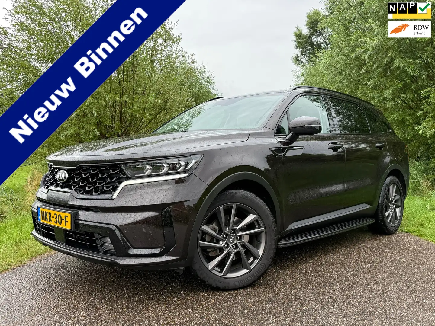 Kia Sorento 1.6 T-GDI PHEV 4WD ExecutiveLine Automaat | Black Bruin - 1