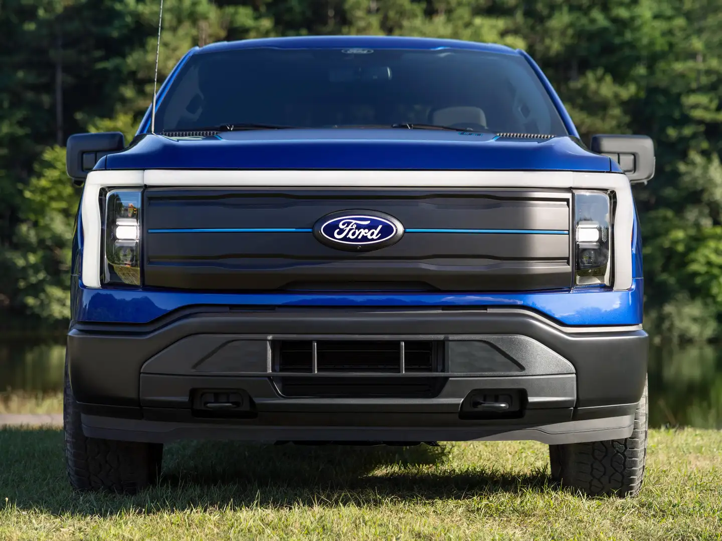 Ford F 150 LIGHTNING 2026 - STX - Neue Version Noir - 1