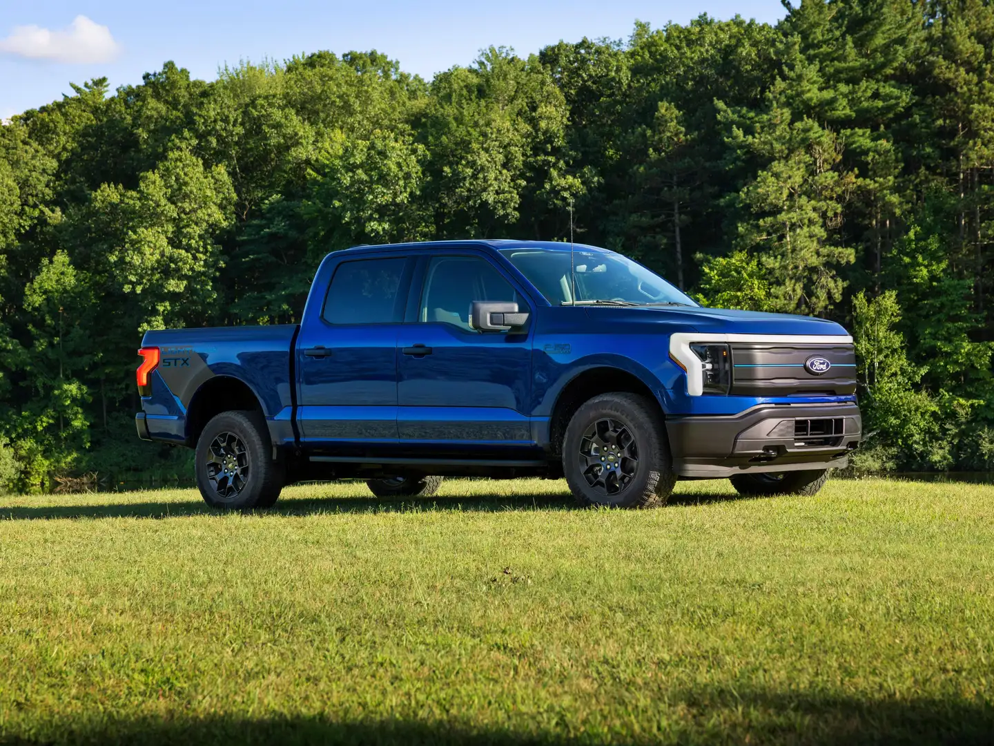 Ford F 150 LIGHTNING 2026 - STX - Neue Version Noir - 2