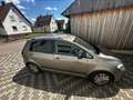 Volkswagen Golf Plus 1.6 TDI DPF Style Marrone - thumbnail 14