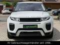 Land Rover Range Rover Evoque SE TD4 Dynamic *STHZ/HUD/CAM* Weiß - thumbnail 3