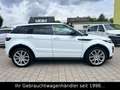 Land Rover Range Rover Evoque SE TD4 Dynamic *STHZ/HUD/CAM* Weiß - thumbnail 10