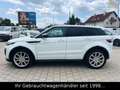 Land Rover Range Rover Evoque SE TD4 Dynamic *STHZ/HUD/CAM* Weiß - thumbnail 11