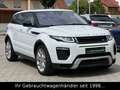 Land Rover Range Rover Evoque SE TD4 Dynamic *STHZ/HUD/CAM* Weiß - thumbnail 5