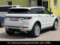 Land Rover Range Rover Evoque SE TD4 Dynamic *STHZ/HUD/CAM* Weiß - thumbnail 7
