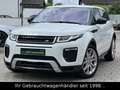 Land Rover Range Rover Evoque SE TD4 Dynamic *STHZ/HUD/CAM* Weiß - thumbnail 1