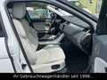 Land Rover Range Rover Evoque SE TD4 Dynamic *STHZ/HUD/CAM* Weiß - thumbnail 22