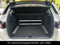 Land Rover Range Rover Evoque SE TD4 Dynamic *STHZ/HUD/CAM* Weiß - thumbnail 25