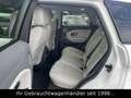 Land Rover Range Rover Evoque SE TD4 Dynamic *STHZ/HUD/CAM* Weiß - thumbnail 20
