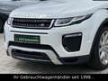 Land Rover Range Rover Evoque SE TD4 Dynamic *STHZ/HUD/CAM* Weiß - thumbnail 4