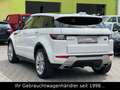 Land Rover Range Rover Evoque SE TD4 Dynamic *STHZ/HUD/CAM* Weiß - thumbnail 9