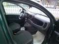 Fiat Panda Panda III 2021 Cross 1.0 firefly hybrid Cross s Grün - thumbnail 20