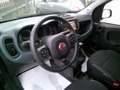 Fiat Panda Panda III 2021 Cross 1.0 firefly hybrid Cross s Grün - thumbnail 19