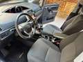 Toyota Verso 1.6 D-4D *7 POSTI UNICO PROPRIETARIO* Gris - thumbnail 14