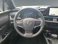Lexus UX 250h Business Line *NAVI*CARPLAY*AA* Negro - thumbnail 13