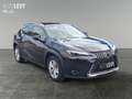 Lexus UX 250h Business Line *NAVI*CARPLAY*AA* Noir - thumbnail 8