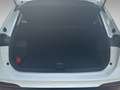 Volkswagen Tiguan Life 1.5 eTSI DSG NAVI/AHK/LED+ Weiß - thumbnail 11