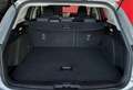 Ford Focus Focus 1.5 EcoBlue 120 CV automatico SW ST-Line Co- Argento - thumbnail 13
