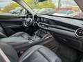 Alfa Romeo Stelvio Q4 Automatik 18 Zoll Leder Navigation Lane-assiste Gris - thumbnail 19