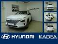 Hyundai NEXO Prime Park-Assistent Rückfahrkamera - thumbnail 1