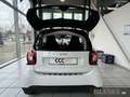 smart forTwo fortwo 52 kW Base+twinamic+Cool&Audio+Allwetter BC Weiß - thumbnail 6