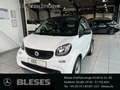 smart forTwo fortwo 52 kW Base+twinamic+Cool&Audio+Allwetter BC Weiß - thumbnail 1
