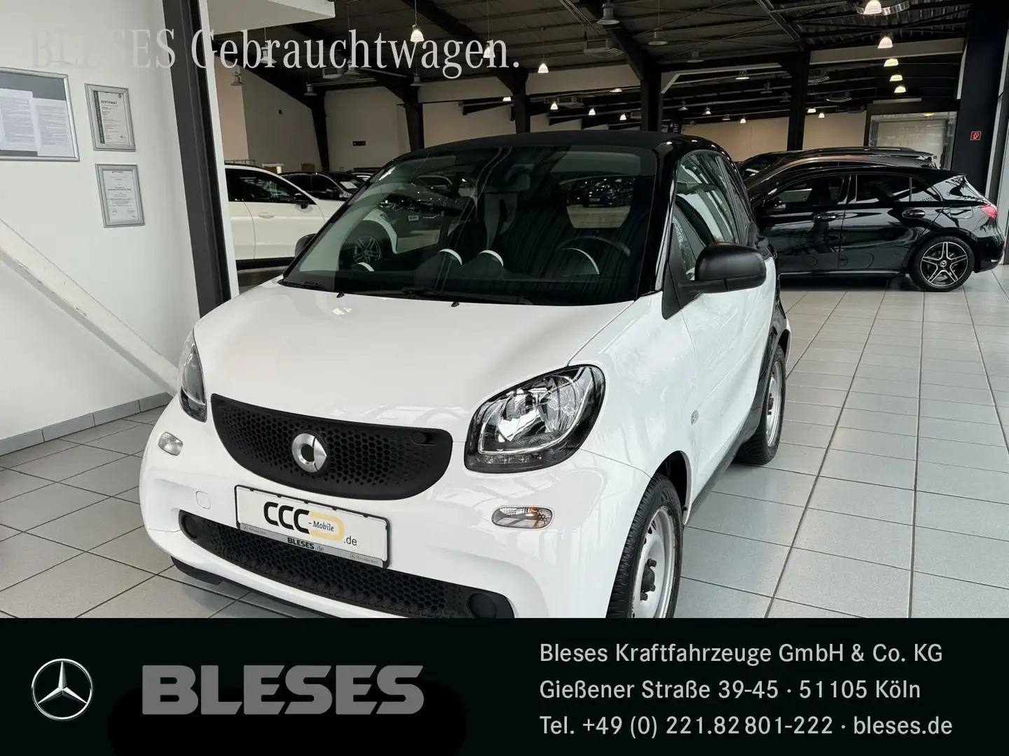 smart forTwo fortwo 52 kW Base+twinamic+Cool&Audio+Allwetter BC Weiß - 1