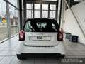 smart forTwo fortwo 52 kW Base+twinamic+Cool&Audio+Allwetter BC Weiß - thumbnail 5